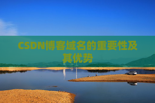 CSDN博客域名的重要性及其优势